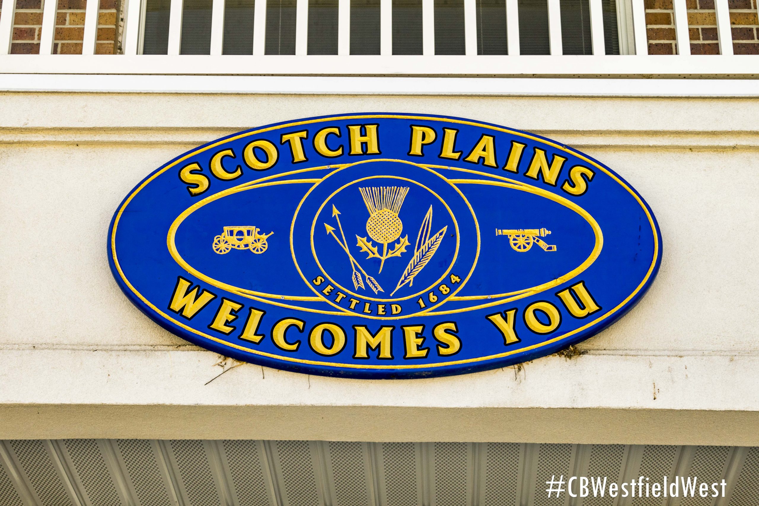 Scotch-Plains1-1-scaled.jpg